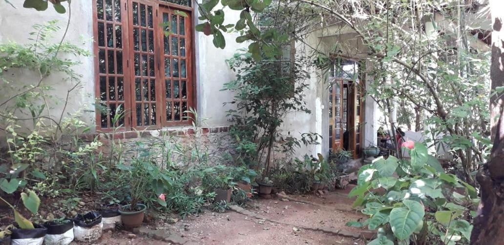 Appartement Kon Tree Shade à Dambulla Extérieur photo